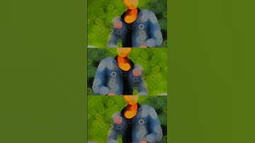 🔥 Slow Motion Video Editing Tutorial | Cinematic Slomo Effect | Alight Motion / CapCut | Shavez Star