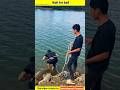 Fish hunter. mini wood toly woodworking art skill #facts #shorts