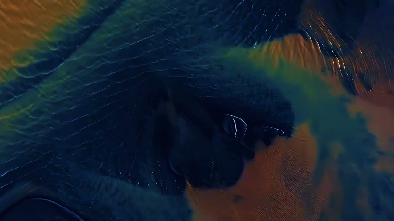 Guarda arya x - currents su YouTube Guarda arya x - currents su YouTube