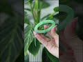 Vòng Cẩm Thạch Xanh Táo Vân Lý Ni 51
