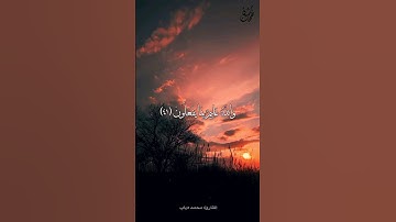 وَاللَّهُ عَلِيمٌ بِمَا يَفْعَلُونَ - القارئ: محمد دياب