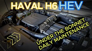 Haval H6 - HEV: ESSENTIAL Maintenance: Under the Bonnet