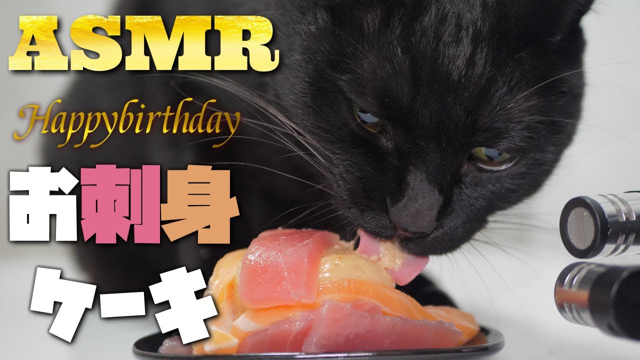 【ASMR】Кошка, поедающая торт сашими в свой 10-й день рождения🐈‍⬛🎂🎧