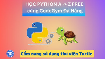 Cẩm nang hướng dẫn sử dụng thư viện Turtle trong Python| Python cơ bản - Bài 10