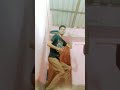 #tranding #tamilsong #dance
