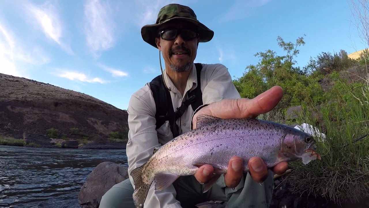 Deschutes River Fly Fishing May 2020 YouTube