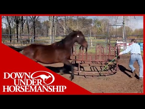 Clinton Anderson Presents Running Scared: Training An Aggressive Horse