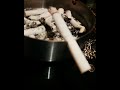 وبضيعتنا كومة ديس يا عمي وبضيعتنا كومة ديس يا عمي