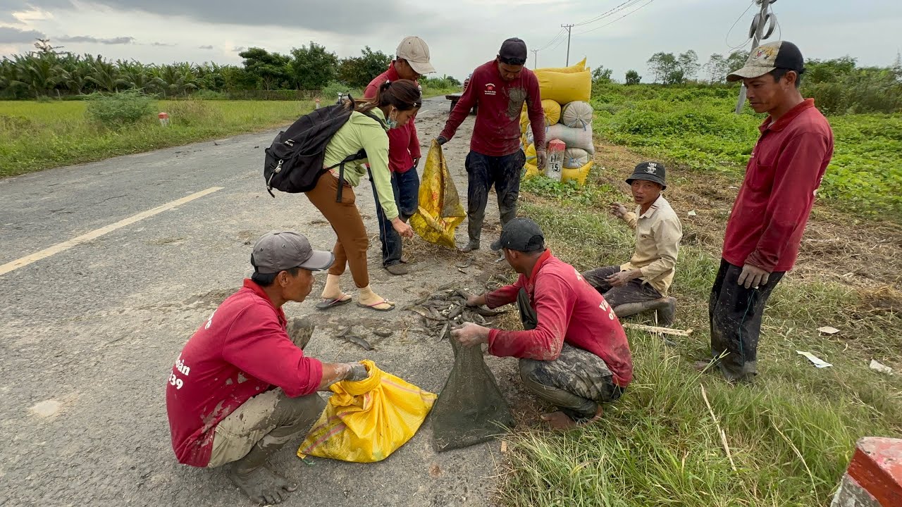 Trúng mánh 4kg Rắn 5kg Cá 2kg Chuột Kết thúc chuyến săt bắt ở đồng Lịch Hội Thượng