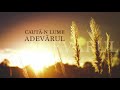 Hristic - Caută-n lume adevărul