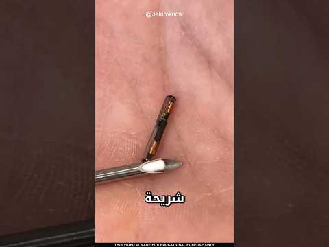 ما سر شريحة اليد