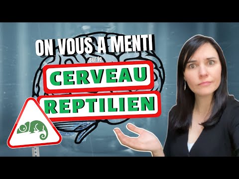 Vidéo: De quoi est responsable le cerveau reptilien ?