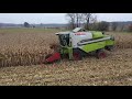 KUKUŘICE NA ZRNO//CLAAS//NEW HOLLAND//ZETOR//CORN HARVEST