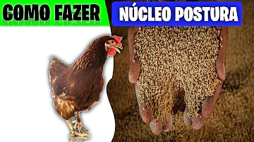 Para que serve Núcleo de postura?