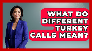 What Do Different Turkey Calls Mean? - The Marksman