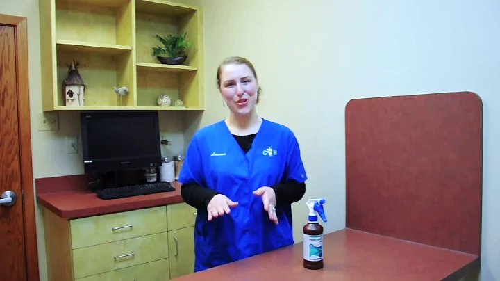 What to Do if Your Pet Gets 'Skunked'