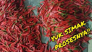 Proses pengiriman lombok ke luar daerah