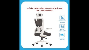 Ghế Văn Phòng Công Thái Học Có Ngả Lưng TANNI Premium 03, Ghế Xoay Văn Phòng Làm Việc Nhập Khẩu