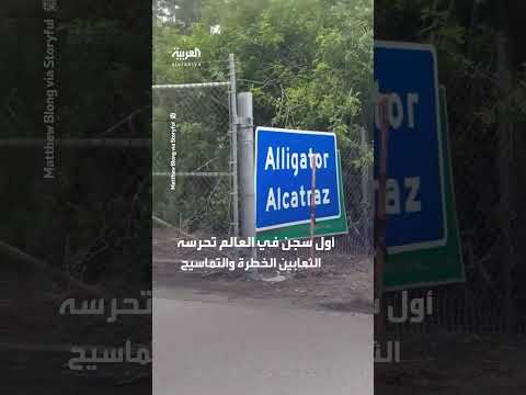 وصول أول مجموعة من المحتجزين إلى سجن التماسيح بفلوريدا