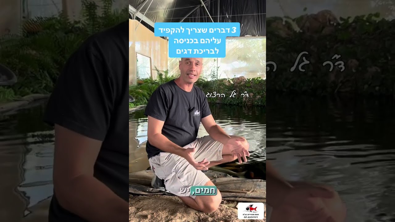 כן, כן… יש כאלה שנכנסים לשחות עם הדגים… בשבילם, 3 דברים חשובים שיש להקפיד עליהם! snapirimfarm.com