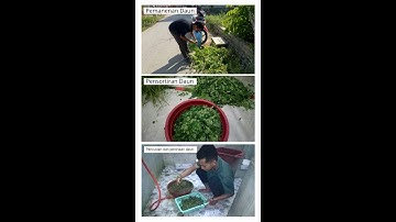 Sistem Automasi Pengering Daun Kelor utk Pembuatan Teh Alami berbasis Mikrokontroler ATMega328P (2)