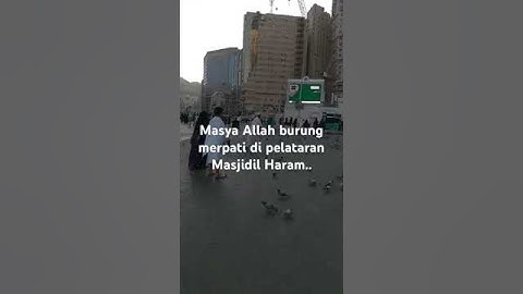 Masya Allah banyak burung merpati di pelataran Masjidil Haram..