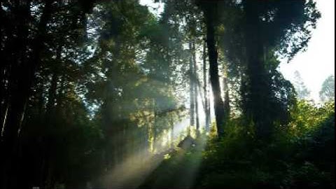 سورة الملك - القارئ الشيخ جمال الصانع