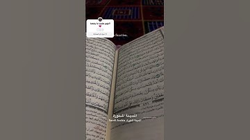 #سورة_الاحزاب #تيك_توك #اللهم_صل_وسلم_على_نبينا_محمد #الرحمن #اكسبلور #🤍🤍