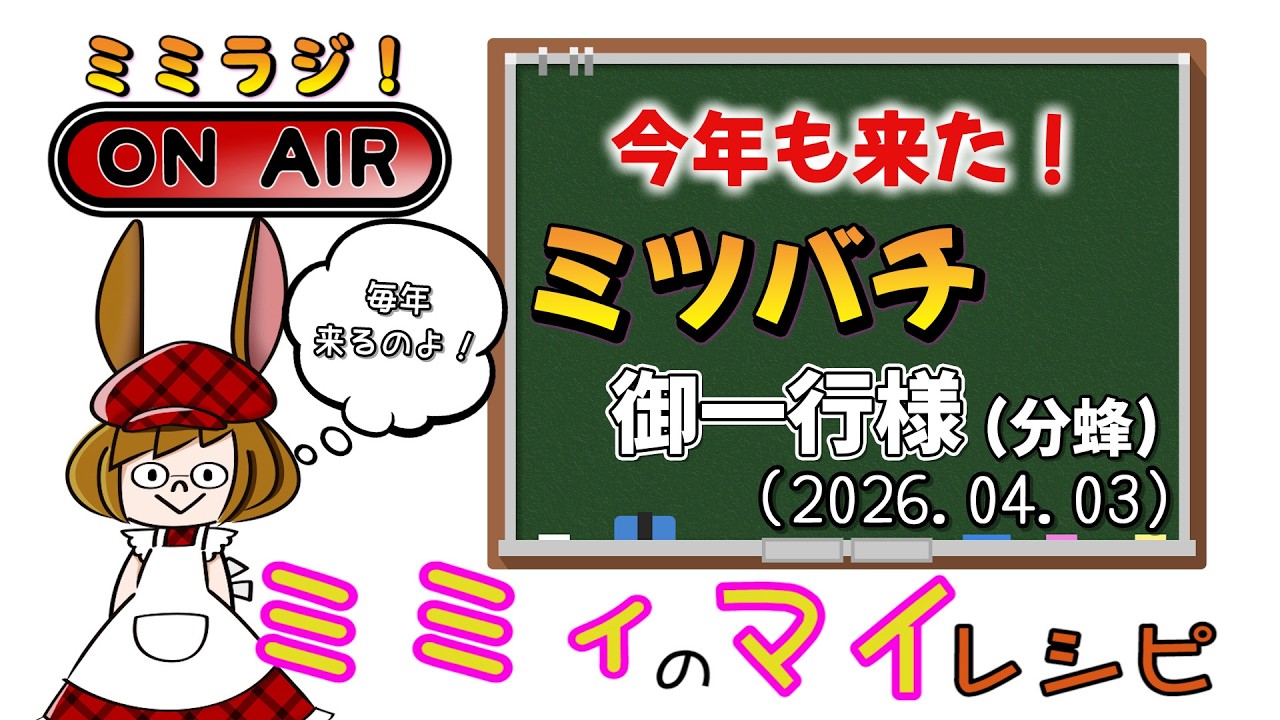 Mimi Radio] When the bees come, I know it's spring. (2026.04.03