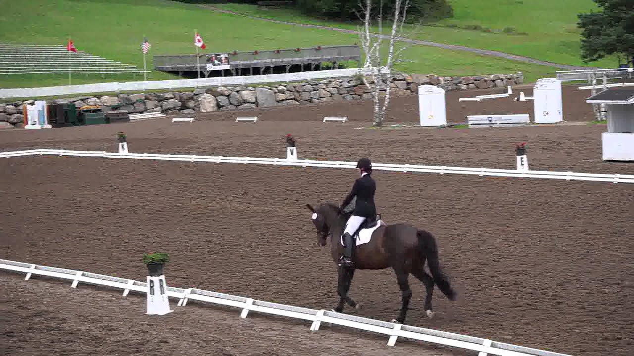 Calypso Dressage Bromont Septembre 2014 YouTube