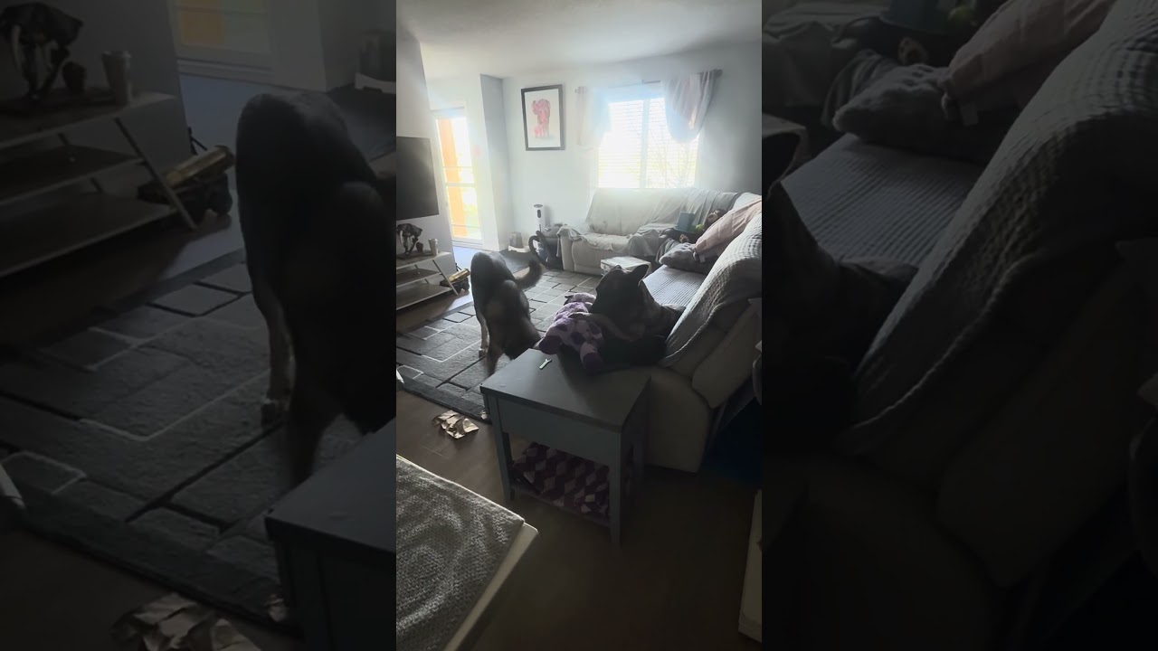 This is my life now. lol 