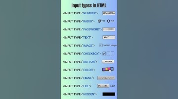 Input Types In HTML🤯
