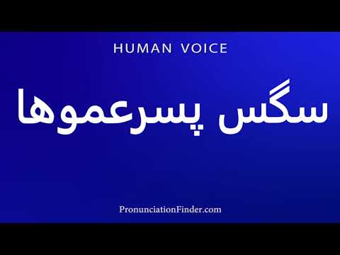   سگس پسرعموها