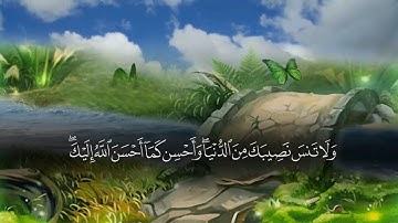 ماهر المعيقلي تلاوة من سورة القصص من الأية ٧٦ الي الأية ٨٤  مصحوبة بالنص القرآني