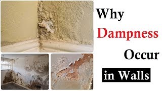 Why dampness occur in walls ? in Urdu/Hindi