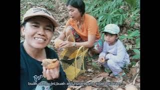 Buah hutan Kalimantan Buah akar manis dan langka yang hanya ada diKalimantan II Tampung songa