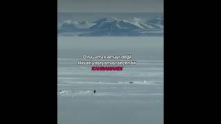 O bir kahramandı… #keşfet #galatasaray #osimhen #gamtng #football #edit #minecraft #futbol #fcmobile