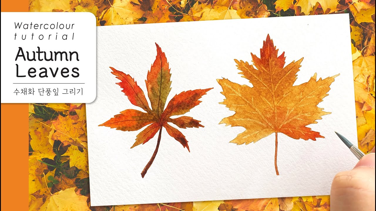 How To Paint Autumn Leaves In Watercolor / 수채화 가을 단풍잎 그리는 방법 - Youtube