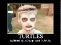 Supreme Selecta - I like turtles  (original dubstep mix)