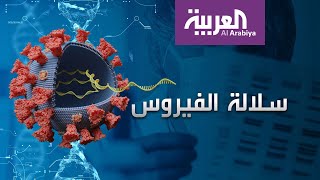 تعرف على شجرة عائلة فيروس كورونا