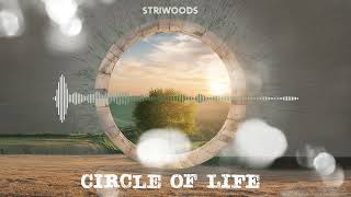 Striwoods - Harmonious Sunrise