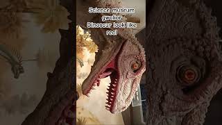 #trending #reels #viral #kacdelight #shortsviral #shortsviral#love#dinosaur #museum#Gwaliormuseum