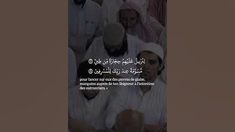 تلاوة خاشعة من سورة الذاريات - الشيخ سعود الشريم