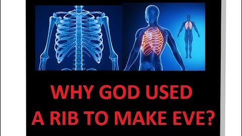 Why Did God Use A Rib To Create Eve?