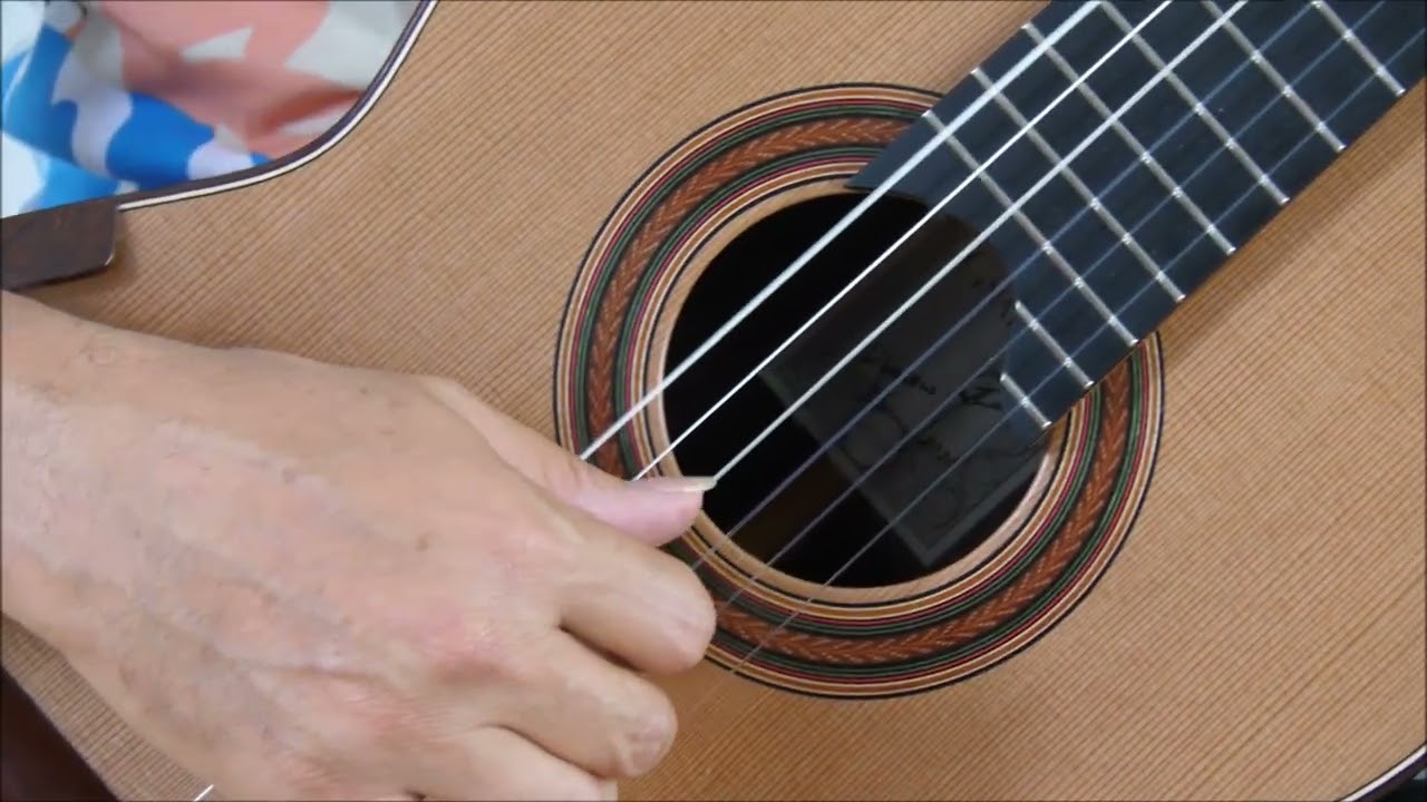 Zbigniew Gnatek  2022 demo Carcassi www.concert-classical-guitar.com