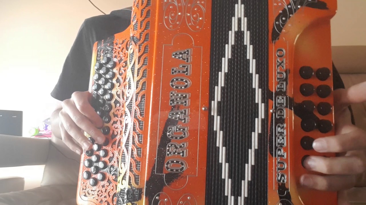 CONCERTINA! YouTube