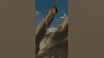 تلاوة قرآن كريم| #اكسبلور #دعاء_مستجاب #قرآن #راحة_نفسية #قران_كريم