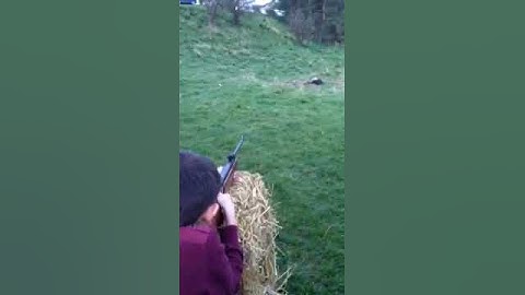 Jack hitting flash bang target