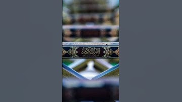 من بدائع القارئ أمين موسى. ج٢٩