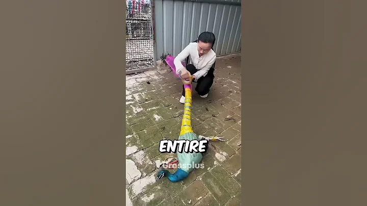 Why peacocks are wrapped by tape? #shorts #science